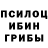 Псилоцибиновые грибы Psilocybe Sebastian Holtheuer