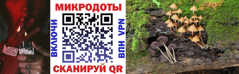 Галлюциногенные грибы Cubensis  блэк спрут рабочий сайт  Чебоксары  закладки 